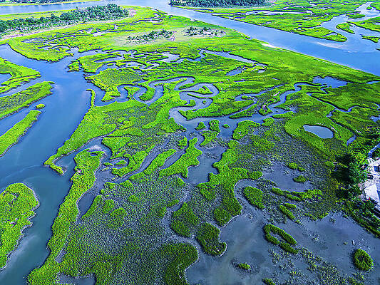 Sailing Wall Art featuring the photograph Marsh Maze by Oceanic SkyView