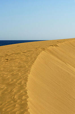 Landscape Wall Art featuring the photograph Maspalomas Beach, Gran Canaria, Canary Islands by Severija Kirilovaite