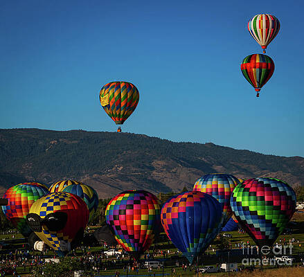 Reno Wall Art featuring the photograph Mass Ascension III by Ron Long Ltd Photography