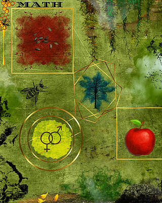 Mixed Media - Math by Canessa Thomas