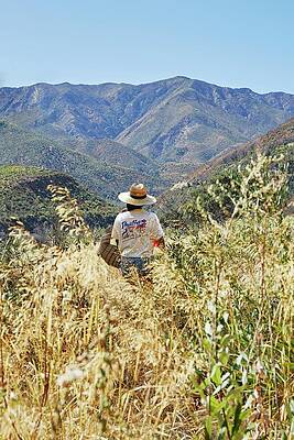 Mountain Photograph - Matilija Creek Trail by Alex Lau