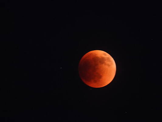 Sky Photograph - May 2022 Lunar Eclipse 3 by Amanda R Wright
