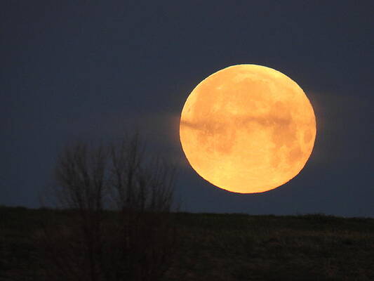 Sky Photograph - May 2022 Full Moon Setting 2 by Amanda R Wright