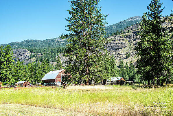 State Route 20 Photograph - Mazama Ranch And Ponderosa Pines by Tom Cochran