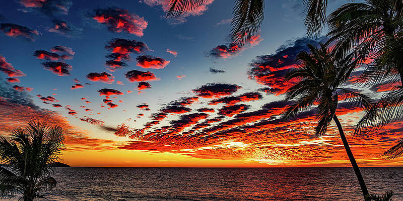 Sunset Wall Art featuring the photograph Mazatlan Epic Sunsets by Tommy Farnsworth