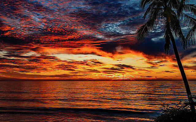 Wall Art featuring the photograph Mazatlan Sunsets by Tommy Farnsworth