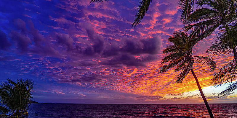 Sky Photograph - MazSunsets Mazatlan Sinaloa Mexico by Tommy Farnsworth