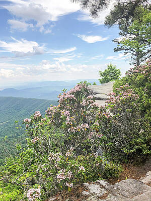 Wildlife Wall Art featuring the photograph McAfee Knob 002 by Rob Narwid