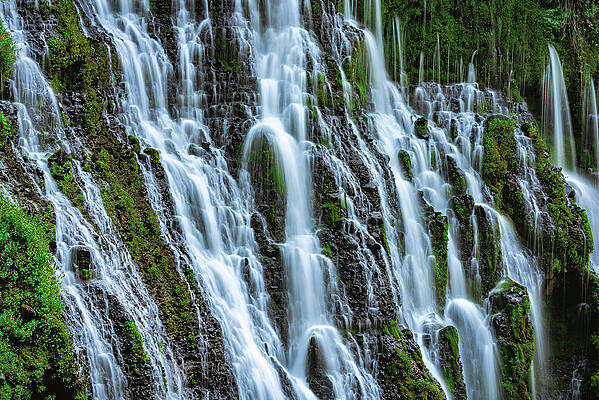 Wall Art featuring the photograph McArthur Burney Falls Seeps 2, California by Abbie Warnock
