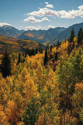 Wall Art featuring the photograph McClure Pass Colorado In Fall by Dan Sproul