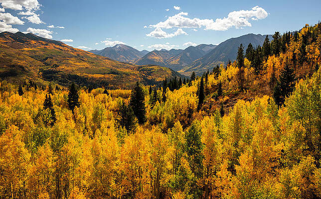 Wall Art featuring the photograph McClure Pass Landscape In Fall by Dan Sproul