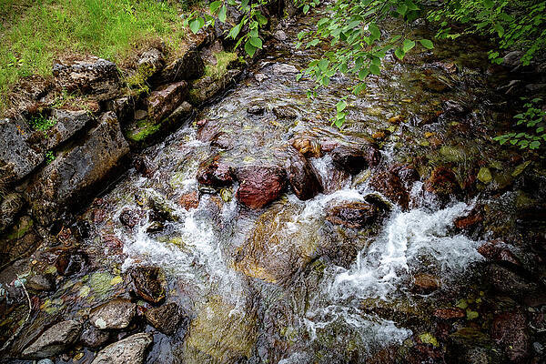 Tranquil Forest Stream Wall Art