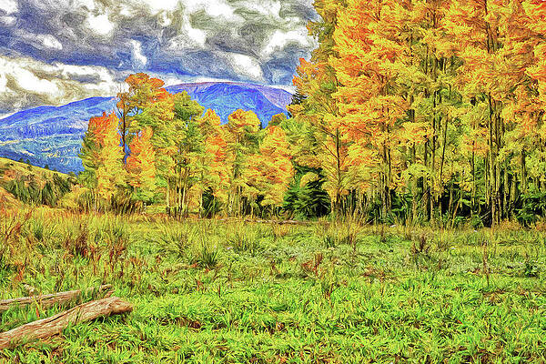 Sky Wall Art featuring the photograph Meadow To Mountain-Digital Art by Steve Templeton