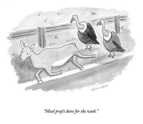 Wildlife Drawing - Meal Prep by Drew Panckeri