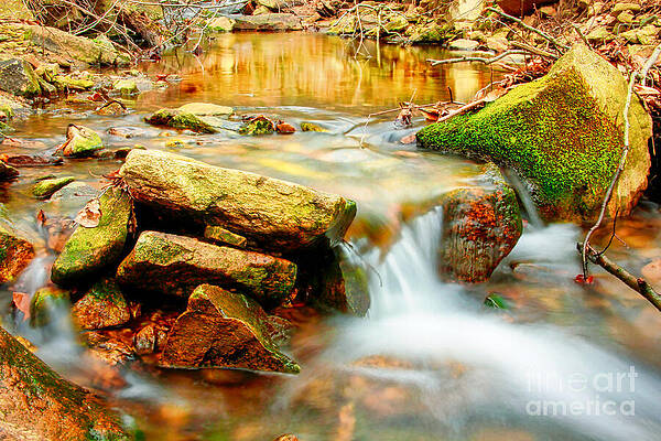 Wall Art featuring the photograph Meditation View Of Great Smoky Mountains National Park - Stream Waterfall Running Water by Stefano Senise