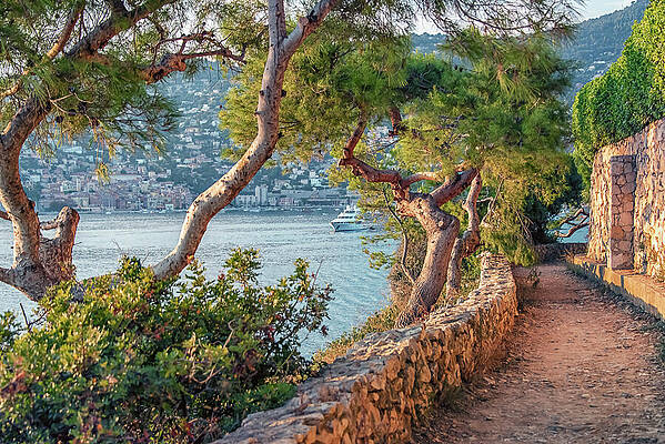 Mediterranean Coastal Pathway Wall Art