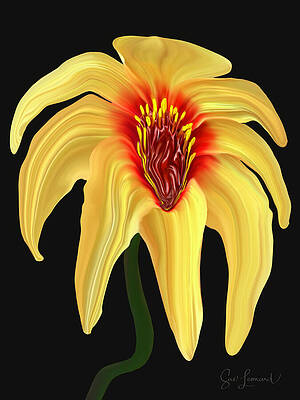 Photograph - Melting Tree Dahlia by Sue Leonard