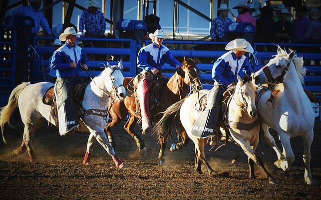 Cowboy Wall Art featuring the photograph Men At Work by Alden White Ballard