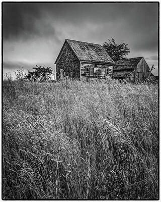 Sky Photograph - Mendocino Shack by Steven Dos Remedios