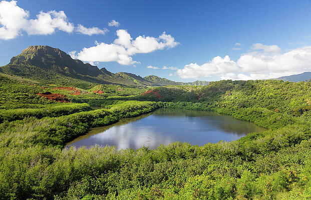 Hawaii Wall Art featuring the photograph Menehune Fishpond Kauai Hawaii by Steven Heap