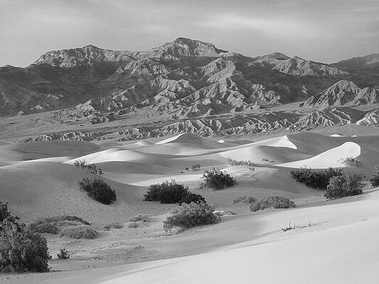 Wall Art featuring the photograph From The Mesquite Dunes To The Grapevine Range by Joe Schofield