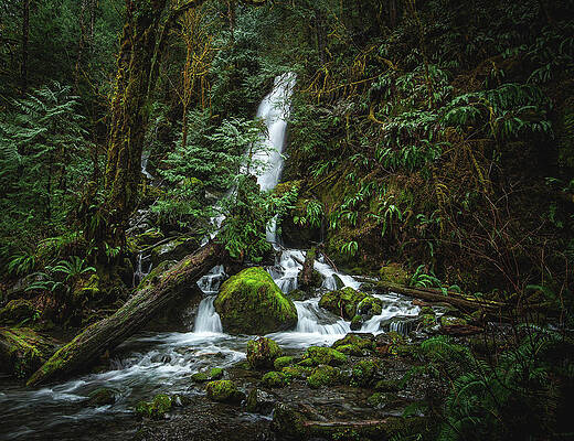 Moody Photograph - Merriman Falls, Washington State by Abbie Warnock