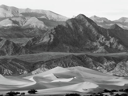 Wall Art featuring the photograph Mesquite Dunes To The Grapevine Range by Joe Schofield
