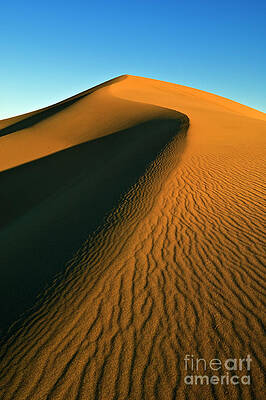 Dramatic Photograph - Mesquite Flats Sand Dunes, Death Valley, California by Neale And Judith Clark