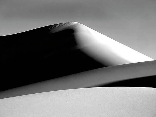 Wall Art featuring the photograph Mesquite Minimalism by Joe Schofield