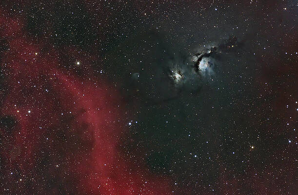 Nebula Photograph - Messier 78 by Brian Weber