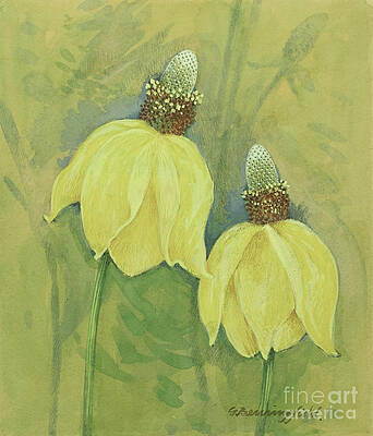 Tree Painting - Mexican Hat Wildflower by Gordon Beningfield