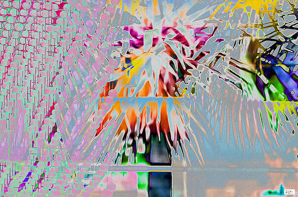 Dynamic Photograph - Mia- We Seem To Have Forgotten by Alex John Bergerman