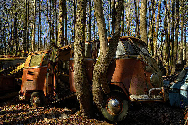 Rusting Van in Forest Wall Art