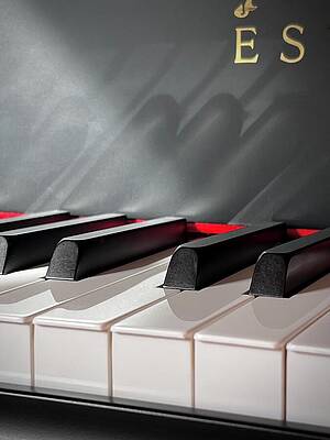 Wall Art featuring the photograph Middle C by Mary Lee Dereske