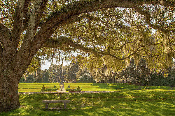 Reflection Photograph - Middleton Place Gardens by Cindy Robinson
