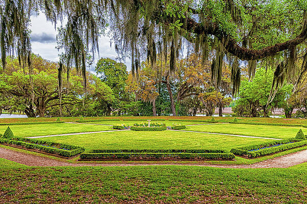 South Carolina Photograph - Middleton Plantation Landscape by Louis Dallara