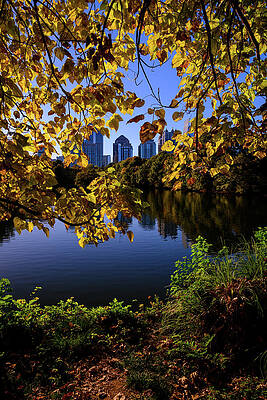 Georgia Photograph - Midtown Atlanta Dressed In Fall Foliage by Anthony Hightower