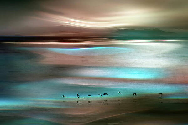 Impressionism Photograph - Migrations by Ursula Abresch
