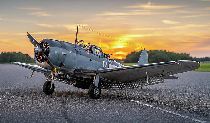 David Photograph - Mike 4 by David Hart