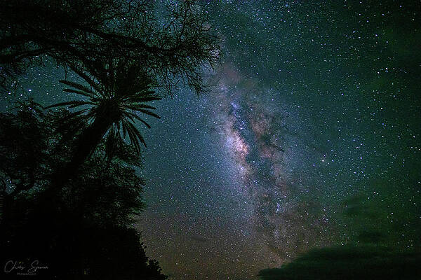 Sky Wall Art featuring the photograph Milky_Way_Makena by Chris Spencer