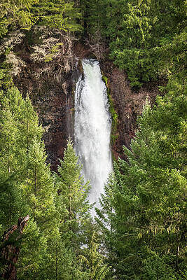 Oregon Photograph - Mill Creek Falls, Oregon by Diane Moller