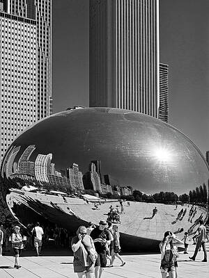 Chicago Photograph - Millennium Park Cloud Gate by Shankar Adiseshan