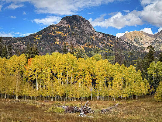 Mountain View with Autumn Trees Photograph