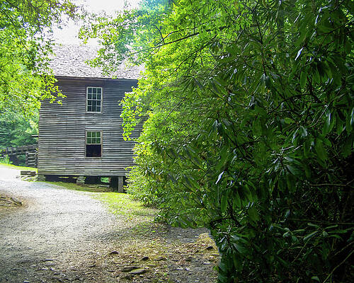 Wall Art featuring the photograph Mingus Mill 03 by Flees Photos