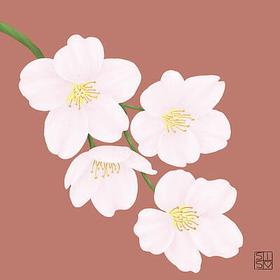 Delicate Digital Art - Miniimalist Cherry Blossoms by Snow Iris Studio