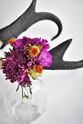 Wall Art featuring the photograph Miracle #2 by Alden White Ballard