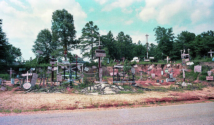 Collection of Wooden Crosses on Hillside Wall Art