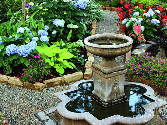 Wall Art featuring the photograph Mirror Mirror On The Well by Rick Locke - Out of the Corner of My Eye