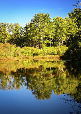 Wall Art featuring the photograph Mirror Pond by Steven Nelson
