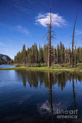 Outdoors Wall Art featuring the photograph Mirrored Reflections by Abigail Diane Photography